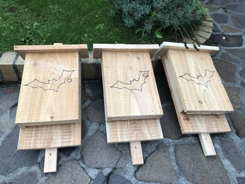 Fledermaus Nistkasten Lärchenholz